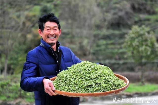 最新夷陵新聞，探索自然美景的旅程，尋覓內(nèi)心平和之地