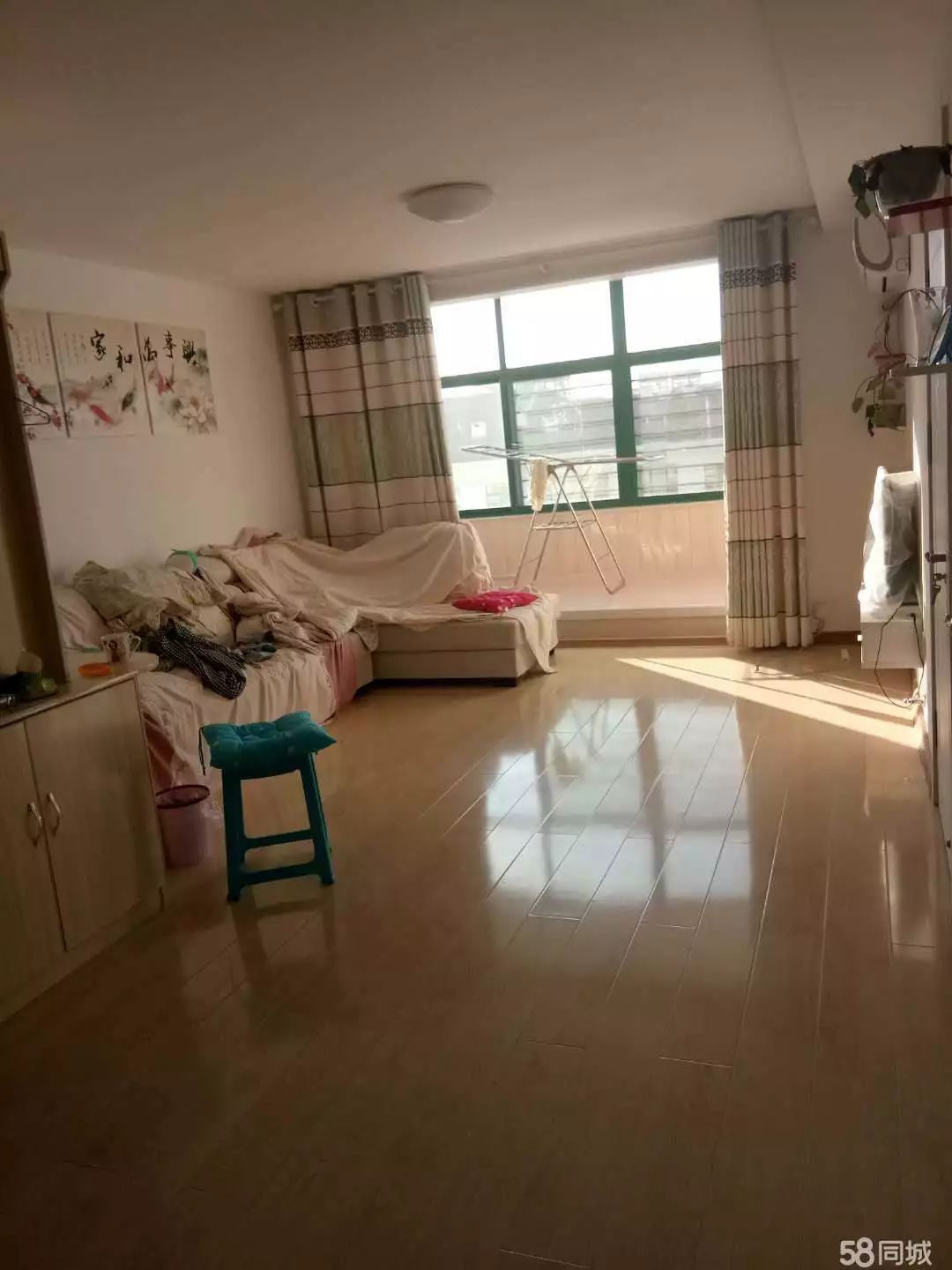 萊西最新個(gè)人租房，窗外世界與自我成長(zhǎng)的旅程