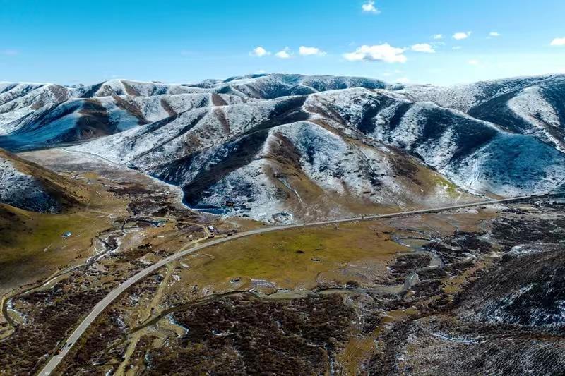 蘭西最新新聞，學(xué)習(xí)之光，自信與成就感的源泉