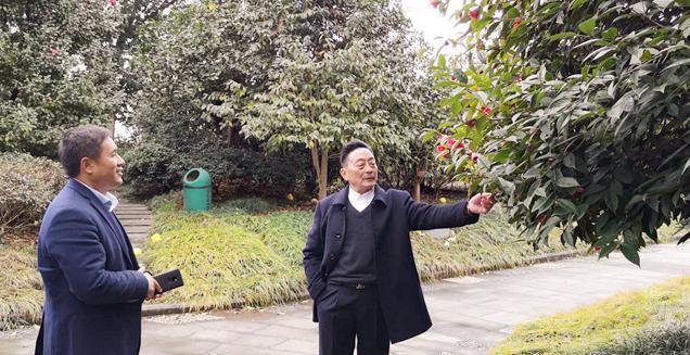 最新花木求購，開啟一場尋綠之旅的溫馨旅程