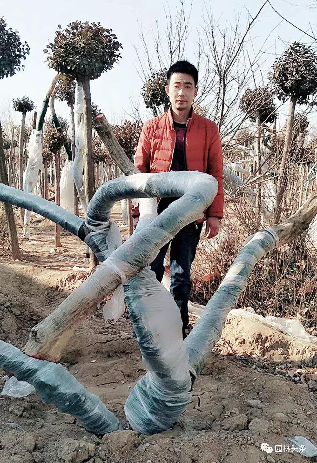 定州最新急招工，時(shí)代的呼喚與行業(yè)重塑的挑戰(zhàn)