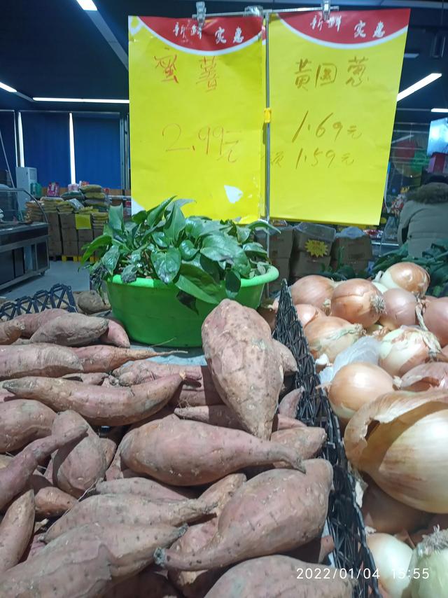 最新地瓜價(jià)格解析，查詢指南與任務(wù)攻略