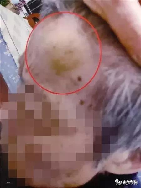 揪脖子最新視頻，探秘小巷風(fēng)情小店，獨家揭秘！