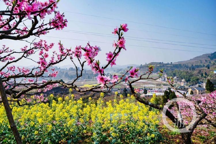 合川最新科技新聞，高科技產(chǎn)品引領(lǐng)未來(lái)生活潮流