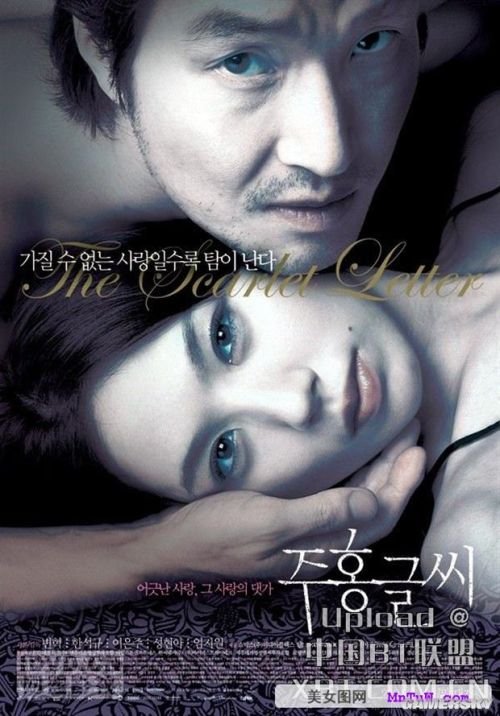 最新內(nèi)地倫理電影探索與啟示，揭示社會倫理的啟示與價值