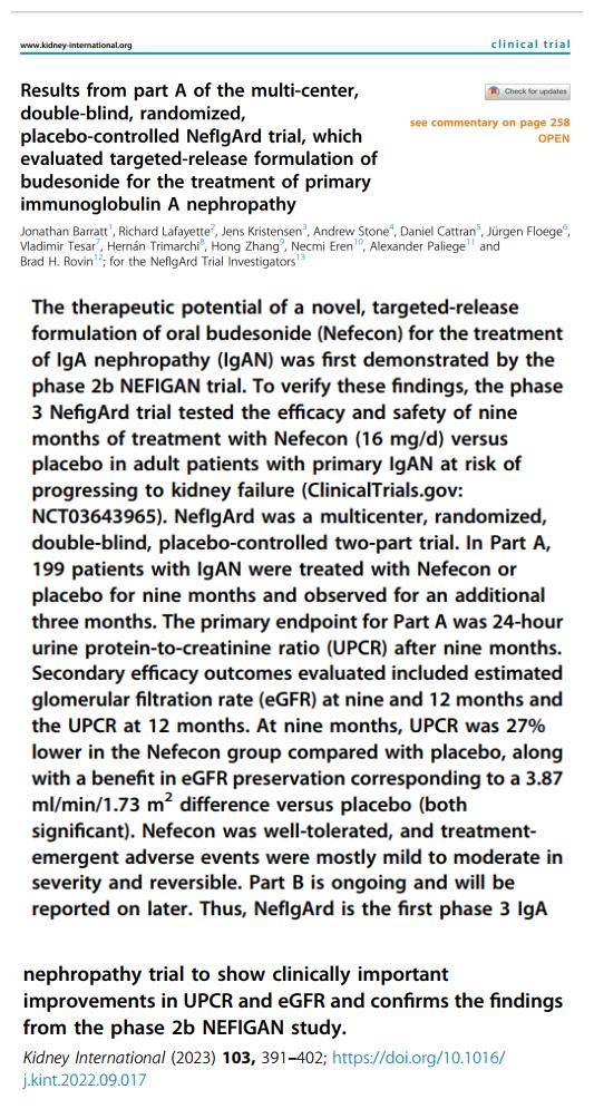 IGA腎病最新突破，醫(yī)學(xué)奇跡在小店中綻放的獨(dú)特魅力