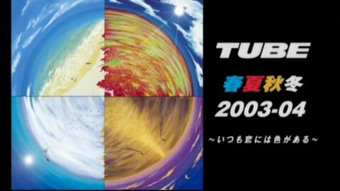 Tube03最新動態(tài)，探索要點、趨勢與發(fā)展