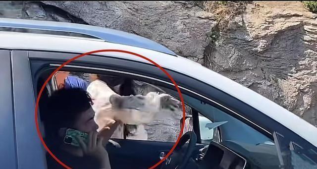 奔馳最新廣告，小明的溫情之旅啟程了