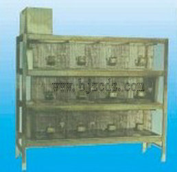 最新式兔籠，打造溫馨舒適的小天地，讓兔子樂享家園！