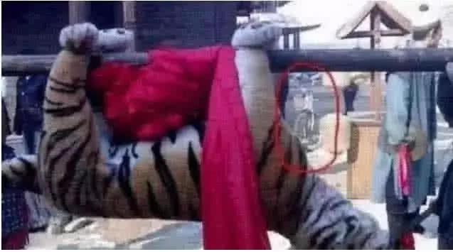 最新打虎消息，探尋內(nèi)心平靜的打虎之旅