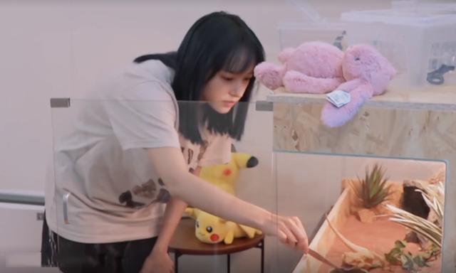 程瀟最新綜藝節(jié)目，心動瞬間，不容錯過！?