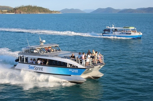 時代背景下的璀璨星辰，最新號號天堂綜述