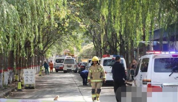 安陽最新事件，溫馨日常與不期而遇的友情之旅