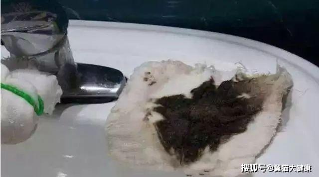 揭秘水污染真相，小杰的河流探索之旅——溫馨河流的秘密揭秘視頻