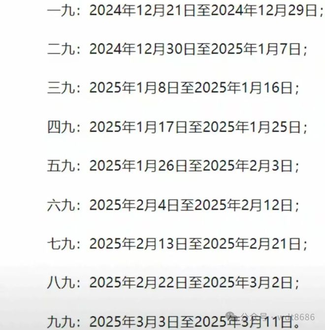 最新久久網2025，友情小船與溫馨日常的交織