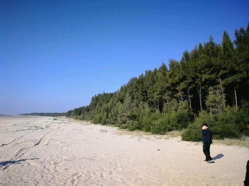 揭秘2025最新臺(tái)風(fēng)路線，提前預(yù)警，保障安全無憂