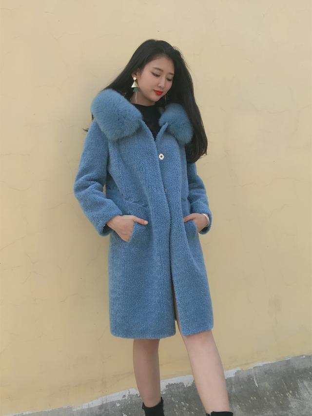 三七花最新價(jià)格揭秘，溫馨小故事中的尋找之旅