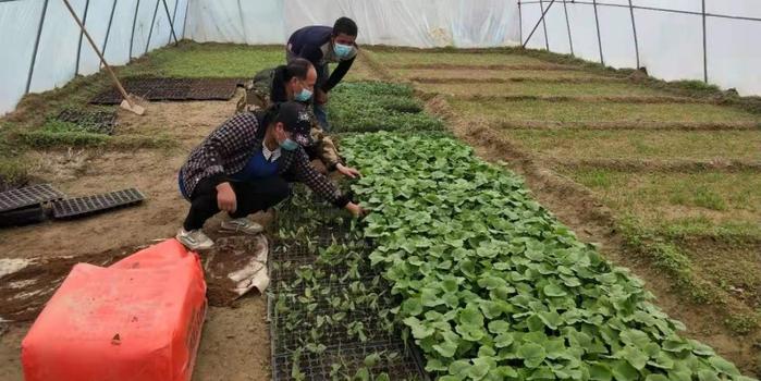 策勒最新招聘啟航人才新篇章，學(xué)習(xí)變化，擁抱自信與成就，啟程人生新征程！