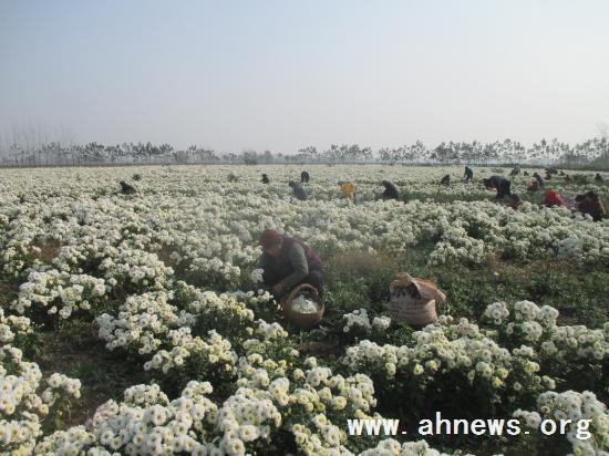 界首最新新聞，學習變革的力量，自信與成就感的融合之路