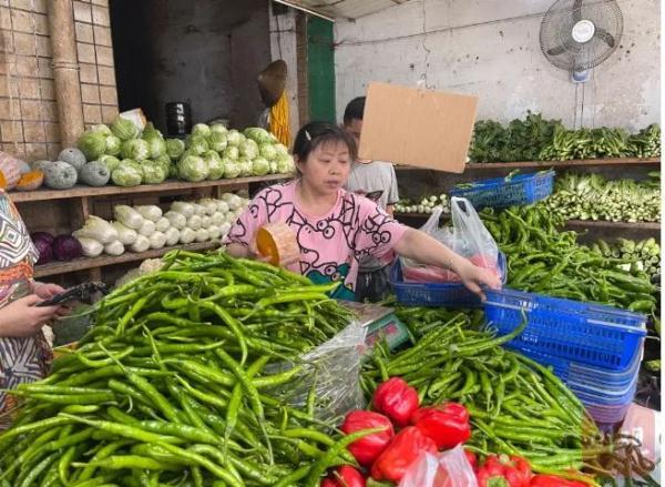 小蔥價(jià)格最新行情及分析報(bào)告