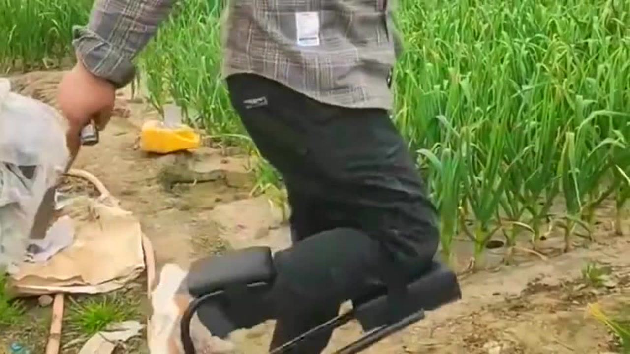 最新挖蒜工具，心靈與自然的完美交融