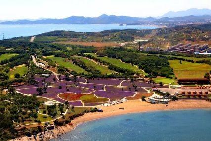 心悅海島探險(xiǎn)攻略，最新任務(wù)指南與探險(xiǎn)體驗(yàn)