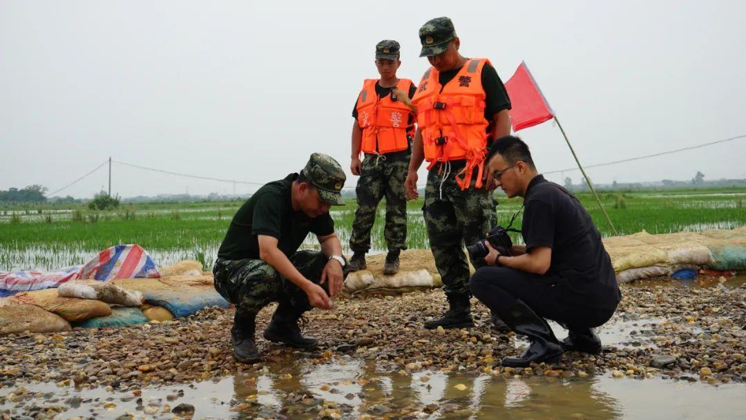 永修最新聞，背景探尋與時代地位的重要事件回顧