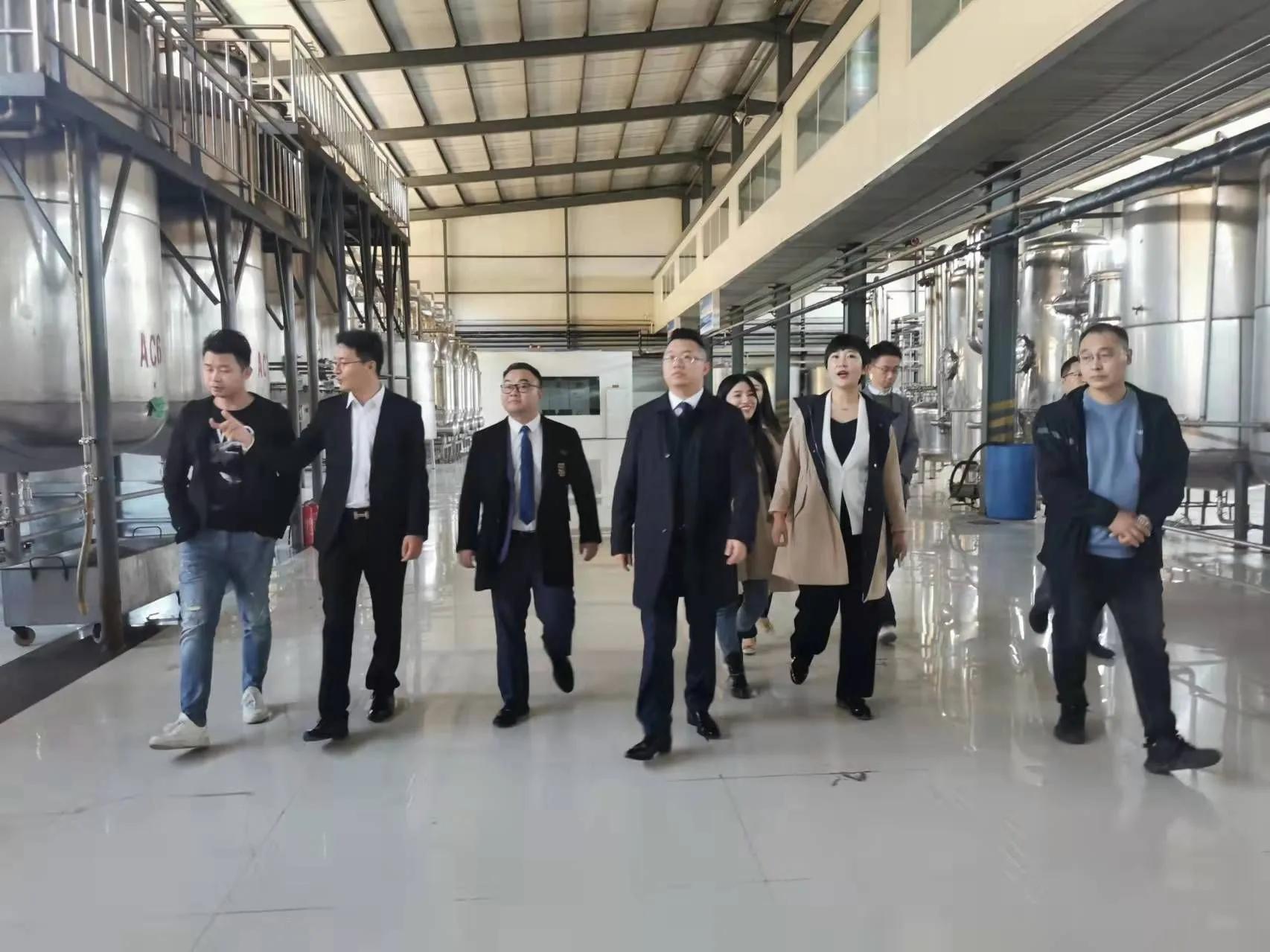 鼎恒升最新動(dòng)態(tài)，追溯特定領(lǐng)域的發(fā)展歷程與重要地位