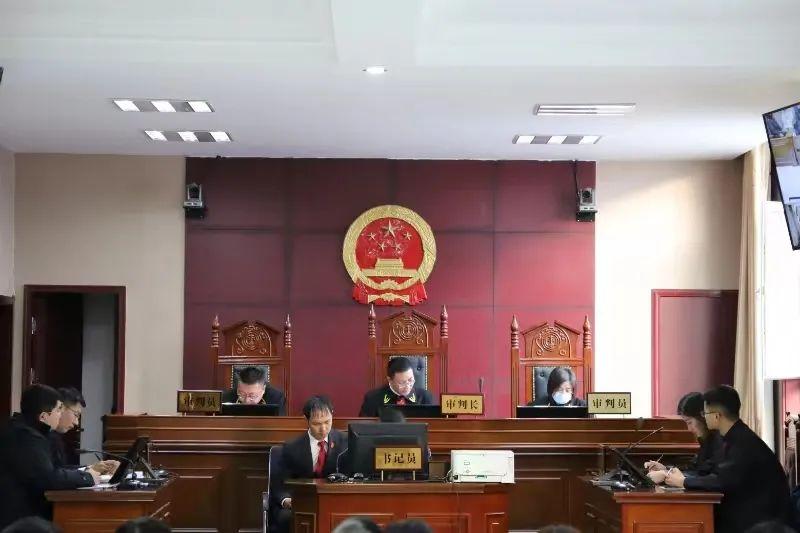 偏關(guān)最新案件深度解析，揭示真相，關(guān)注社會公正與公平