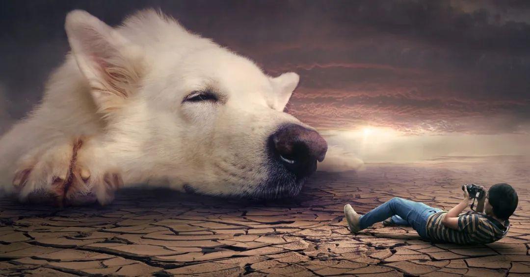 夢(mèng)境最新研究揭秘，探索人類夢(mèng)境的奧秘