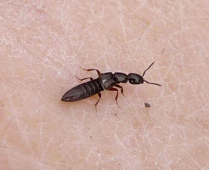 高效應(yīng)對(duì)問題關(guān)鍵策略，最新處理方法詳解