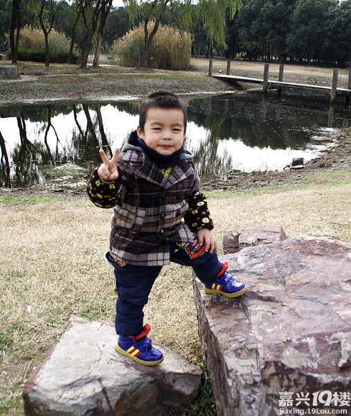 小六最新，時(shí)代背景下的重要印記與事件回顧