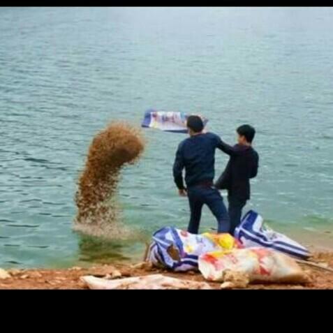 科學(xué)釣魚最新探索，學(xué)習與實踐的成就感之旅