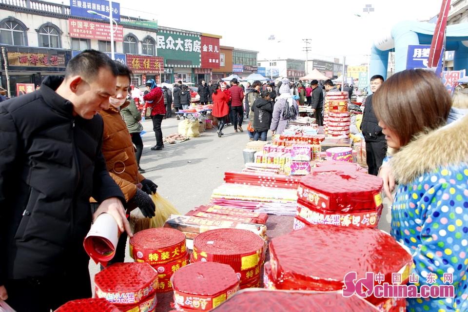 淘元素最新，淘淘的奇妙冒險(xiǎn)之旅與友情的溫暖體驗(yàn)