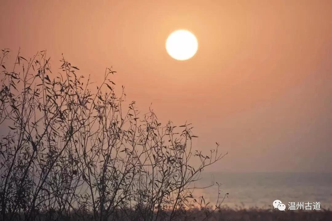 最新瘟疫詩詞，時代之聲與人文關(guān)懷的交融展現(xiàn)