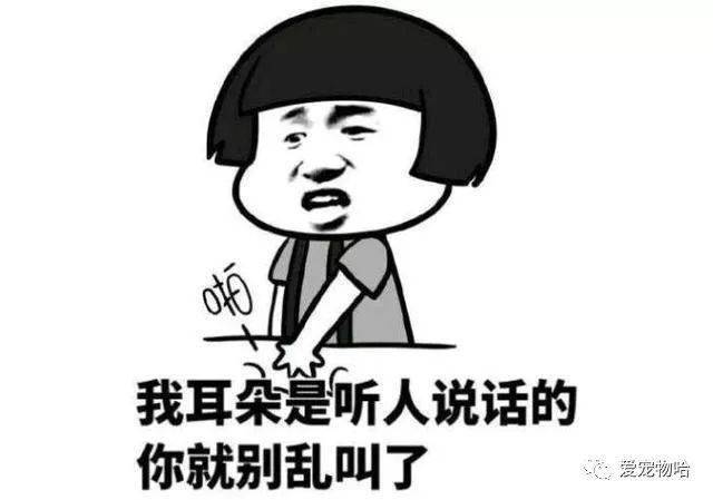 最新枕邊笑話，科技小寶貝，生活添樂(lè)趣