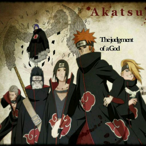 曉組織最新動態(tài)揭秘，探究其發(fā)展與影響