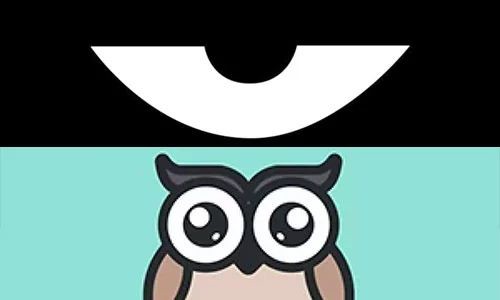 最新積目，全面解讀與觀點(diǎn)闡述