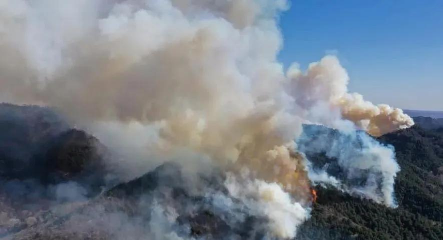 榆社山火防控指南，從初學(xué)者到進階用戶的全步驟學(xué)習(xí)與防火任務(wù)實踐