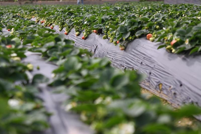 湖北最新封鎖，科技智能重塑防線，守護(hù)生活安全