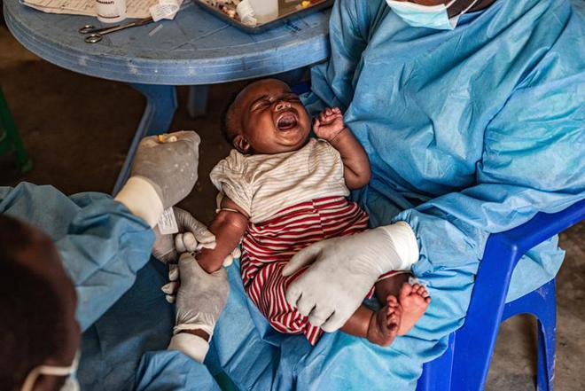 本土感染最新情況，自然美景中的探索之旅