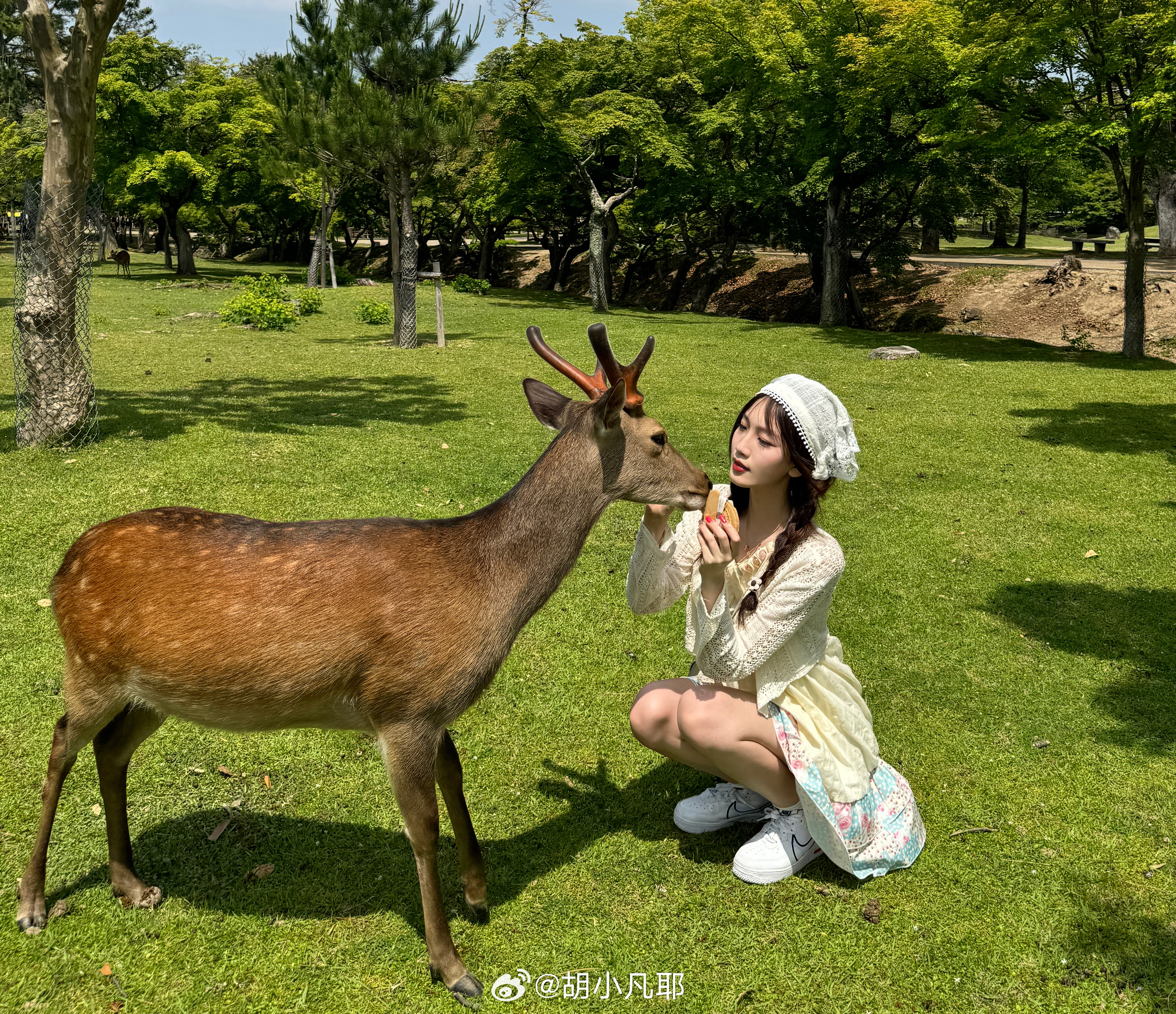 小鹿鹿最新，自然美景的探索之旅