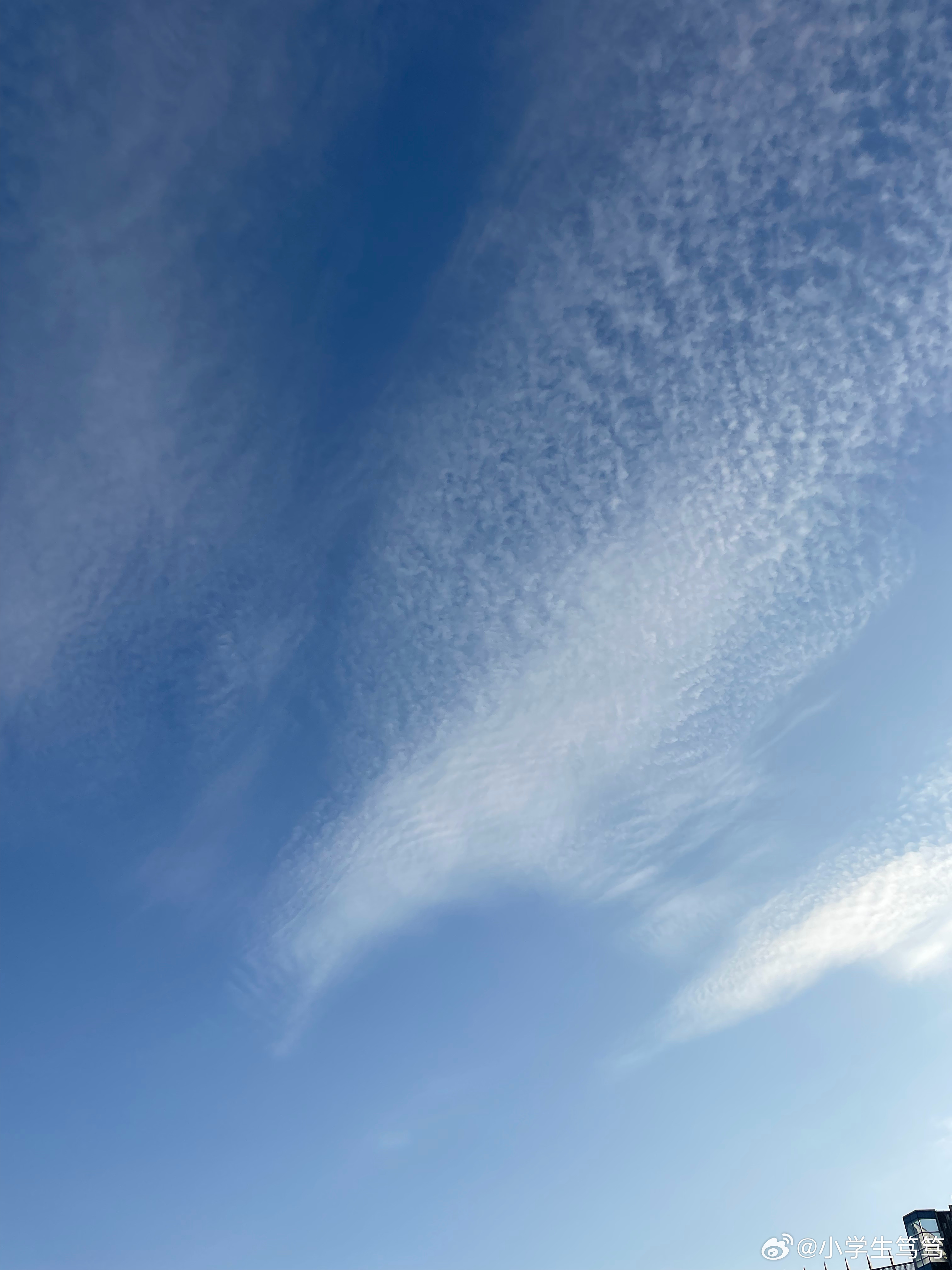 云飄飄最新，小巷深處的獨(dú)特風(fēng)味美食體驗(yàn)