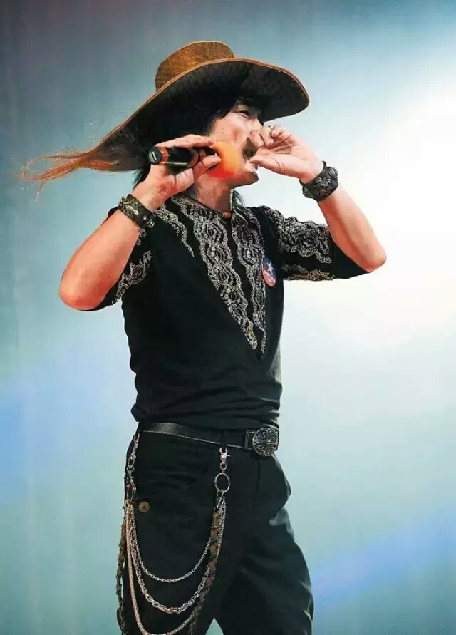 指哨最新，自然美景之旅，探尋內(nèi)心平靜與喜悅的旅程