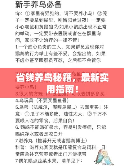 最新養(yǎng)鳥(niǎo)法規(guī)解析，觀點(diǎn)闡述與深度探討