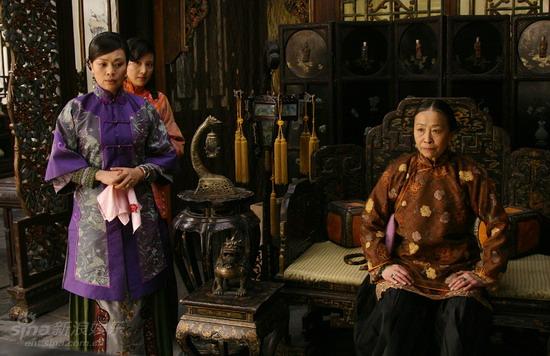 鐵梨花最新更新，日常生活中的趣事與情感紐帶