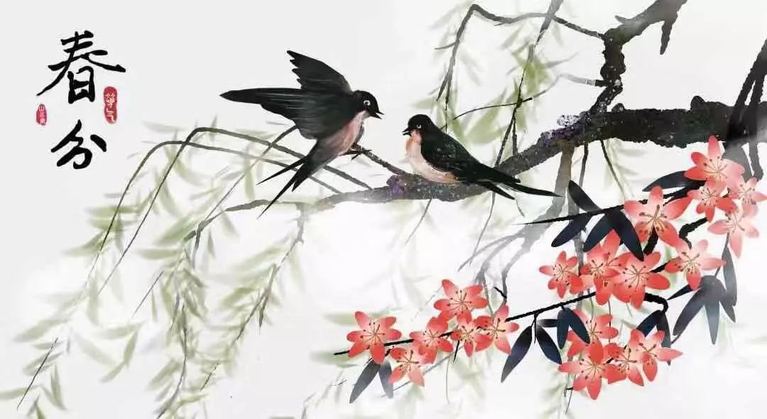 春分最新圖片，展現(xiàn)自然之美的瞬間