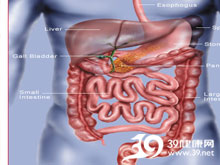 高科技產(chǎn)品重塑生活，體驗前沿魅力，探索腸鳴最新技術