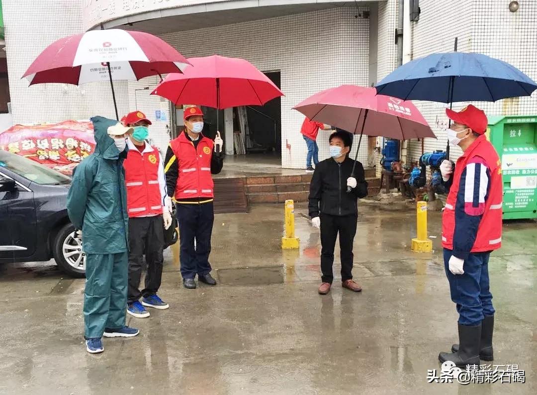 石碣最新疫情動態(tài)，變化中的學習，鑄就未來力量