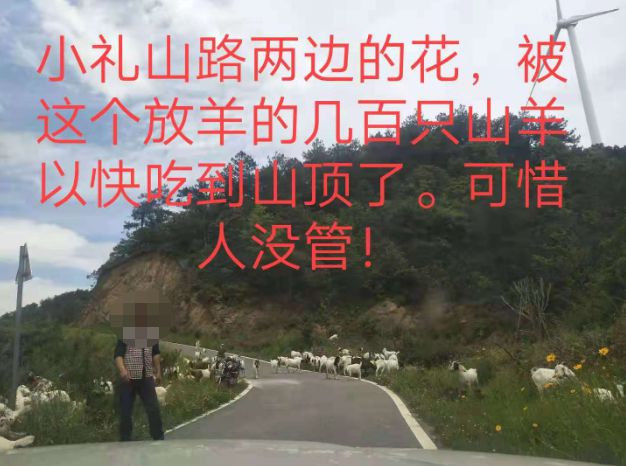 大悟最新路，探索未知，自信成就夢(mèng)想之旅的啟程